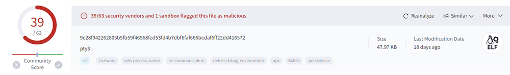 VirusTotal Scan of 'pty3' Binary File 