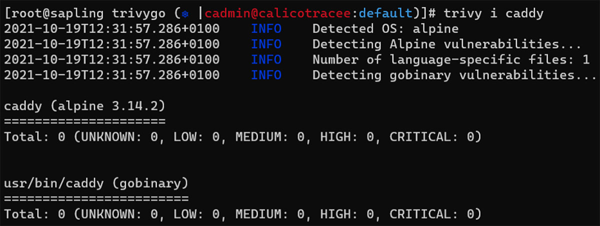 trivy output from scanning the caddy image