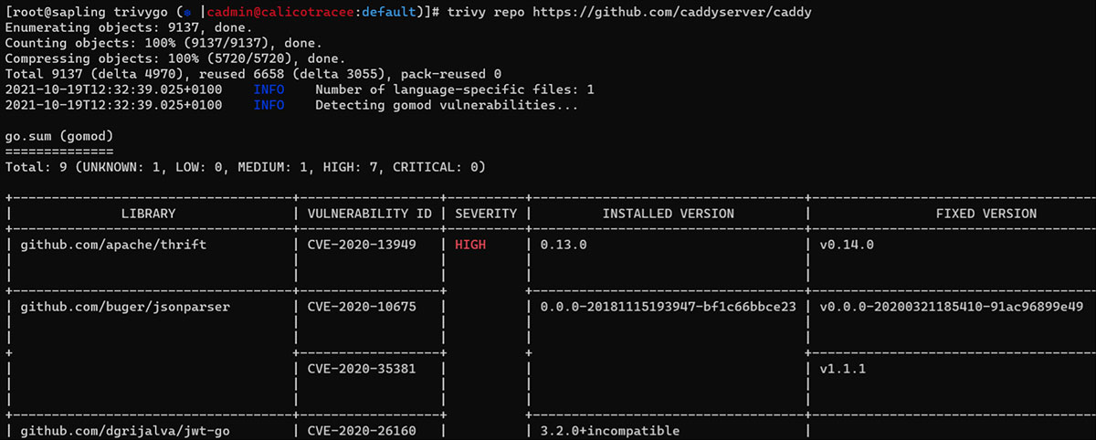 Trivy scan of the caddy github repository